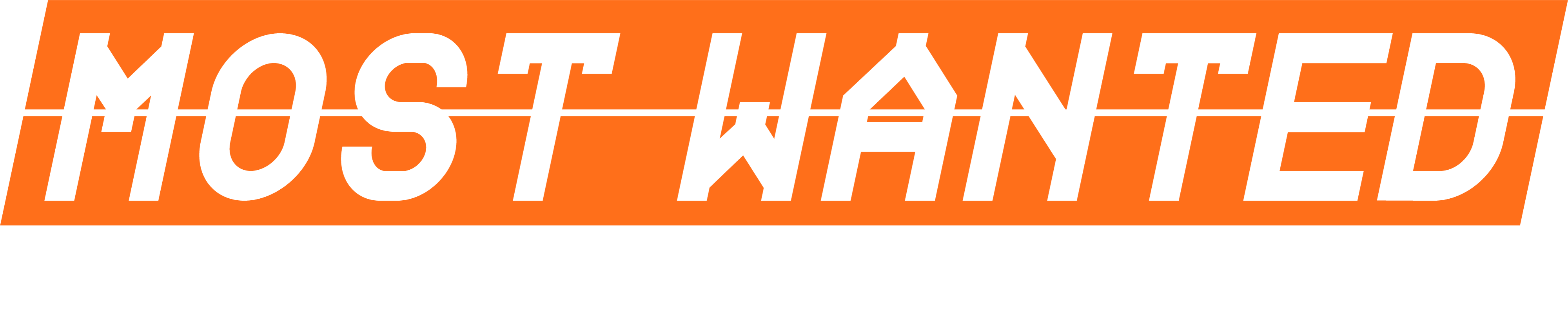 Most Wanted &mdash; Staffel 01 Logo